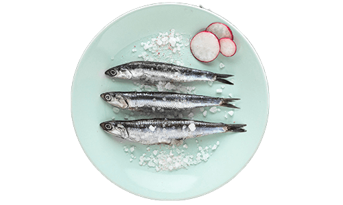 Productos del mar Anfele